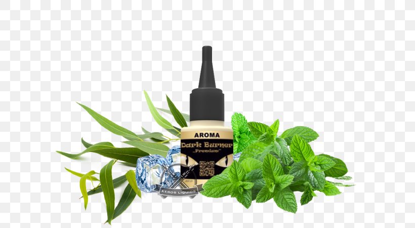 Tea Organic Food Peppermint Spearmint Herb, PNG, 600x450px, Tea, Apple Mint, Food, Herb, Herbal Tea Download Free