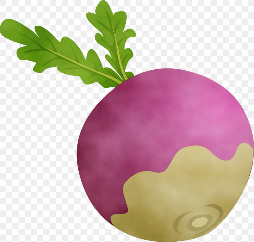 Watercolor Flower Background, PNG, 2400x2289px, Watercolor, Beet, Beetroot, Beetroots, Branch Download Free