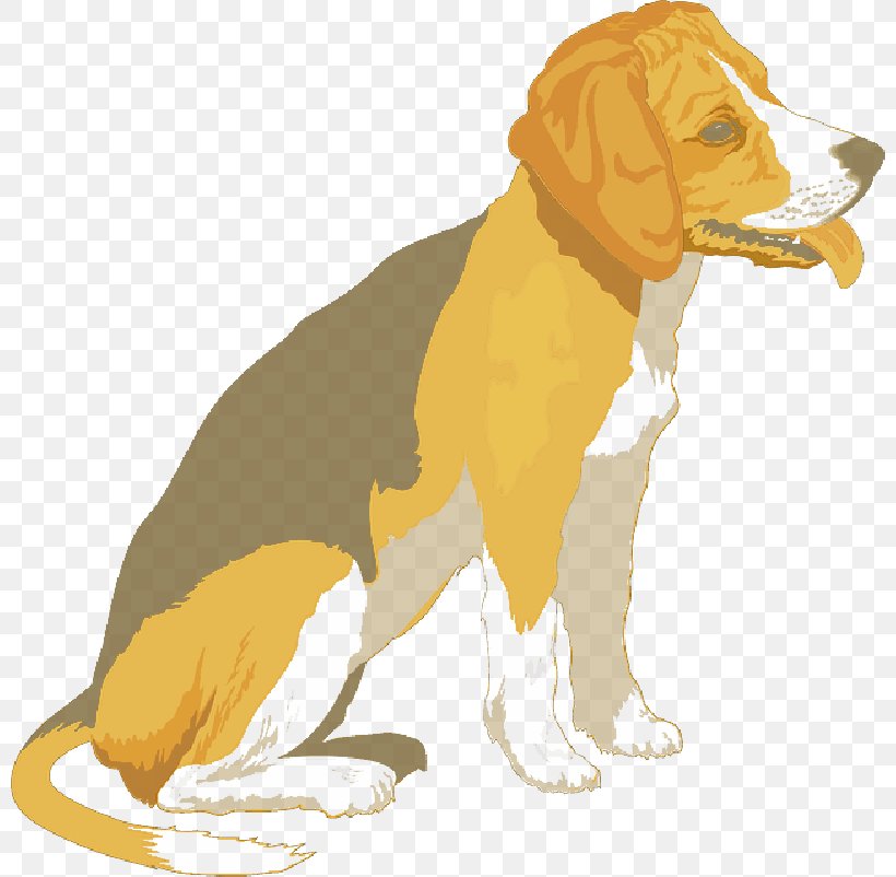 Clip Art Beagle Border Collie Puppy Vector Graphics, PNG, 800x802px, Beagle, American Foxhound, Artois Hound, Beagleharrier, Border Collie Download Free