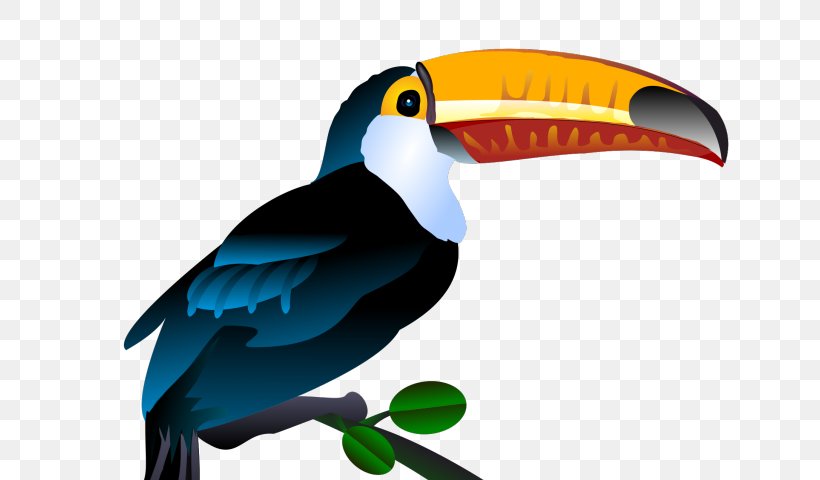 Clip Art Toucan Bird Openclipart Free Content, PNG, 640x480px, Toucan, Beak, Bird, Fauna, Keelbilled Toucan Download Free