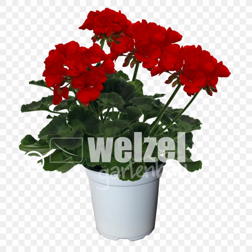 Crane's-bill Flowerpot Geraniums Artificial Flower, PNG, 900x900px, Flowerpot, Annual Plant, Artificial Flower, Cut Flowers, Family Download Free