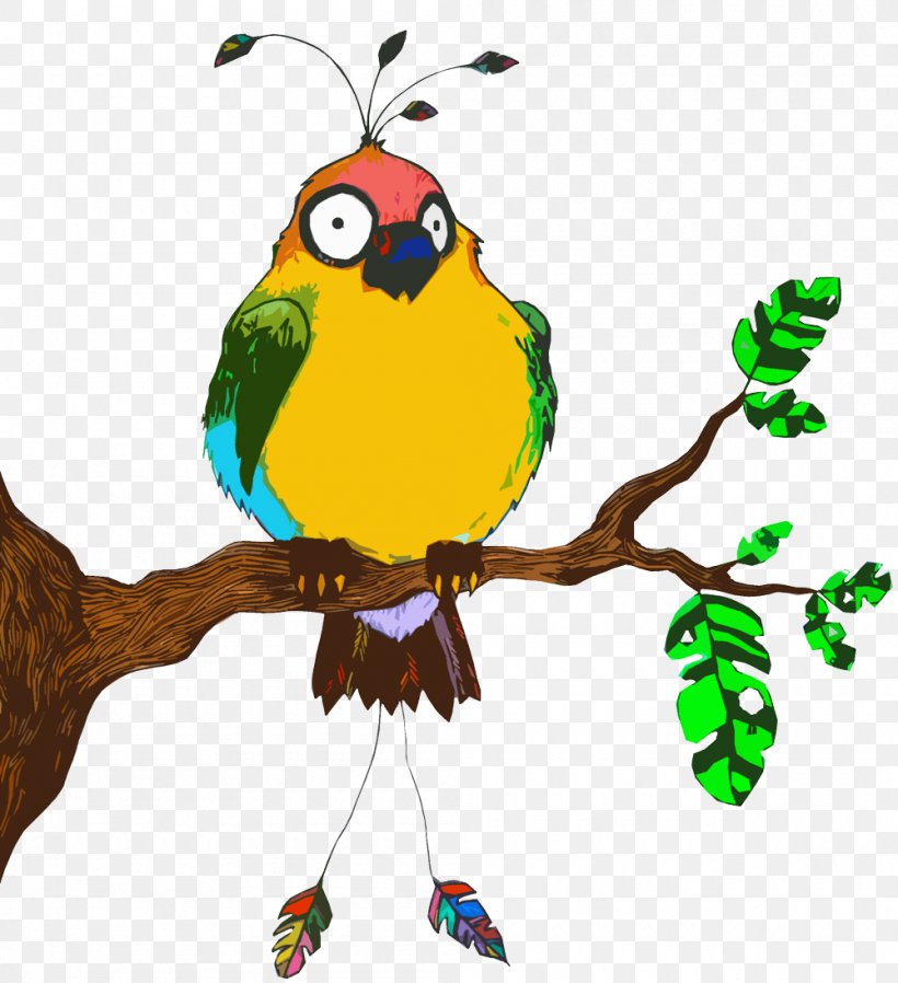 Macaw Parrot Beak Clip Art, PNG, 1000x1096px, Macaw, Artwork, Beak, Bird, Branch Download Free