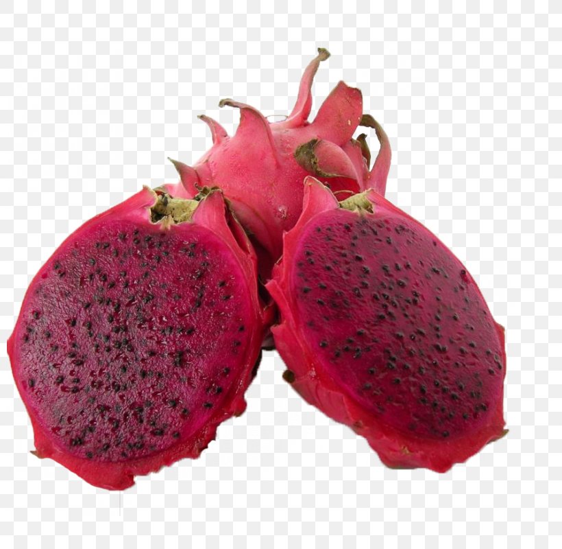 Pitaya Auglis Hylocereus Undatus Fruit Daging Buah, PNG, 800x800px, Pitaya, Auglis, Beslenme, Budi Daya, Cactaceae Download Free