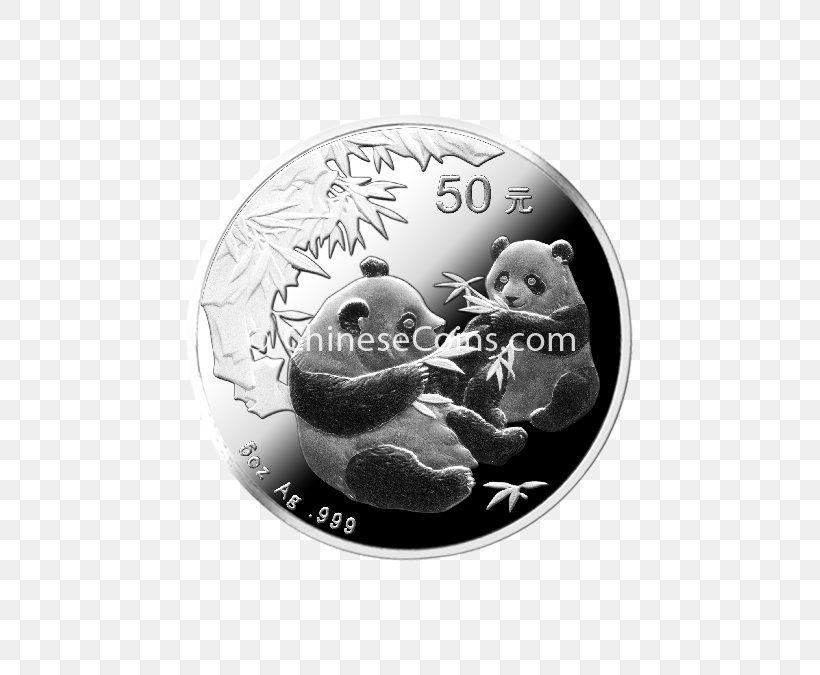 Coin Silver White, PNG, 675x675px, Coin, Black And White, Currency, Money, Monochrome Download Free
