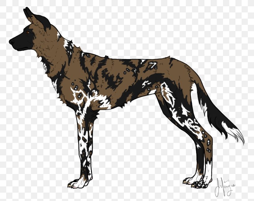 Dog Breed Great Dane African Wild Dog Dhole, PNG, 800x647px, Dog Breed, African Wild Dog, Breed, Carnivoran, Dhole Download Free