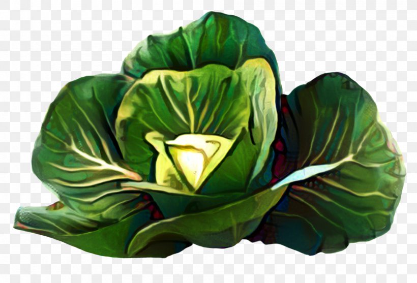Green Leaf Background, PNG, 1898x1291px, Spring Greens, Cabbage, Flower, Green, Leaf Download Free