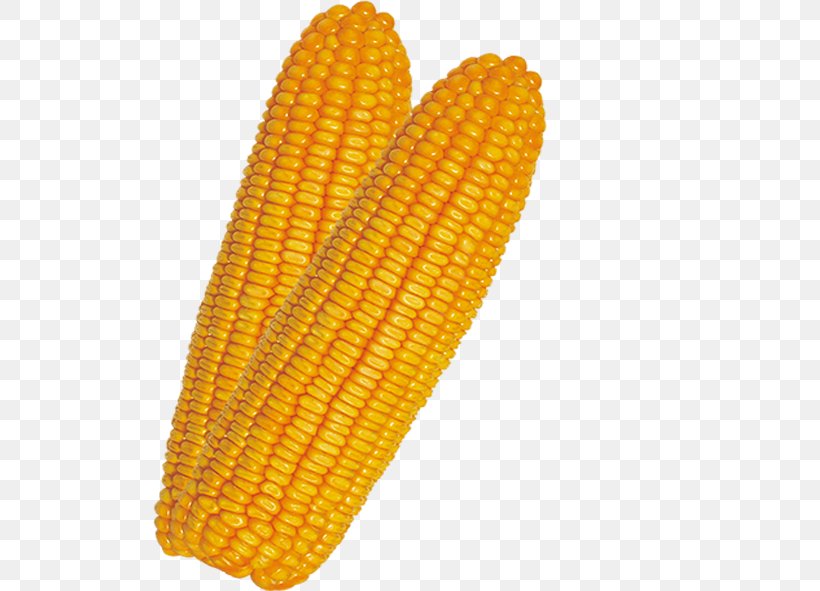 Corn On The Cob Maize, PNG, 591x591px, Corn On The Cob, Commodity, Corn Kernel, Corn Kernels, Food Download Free