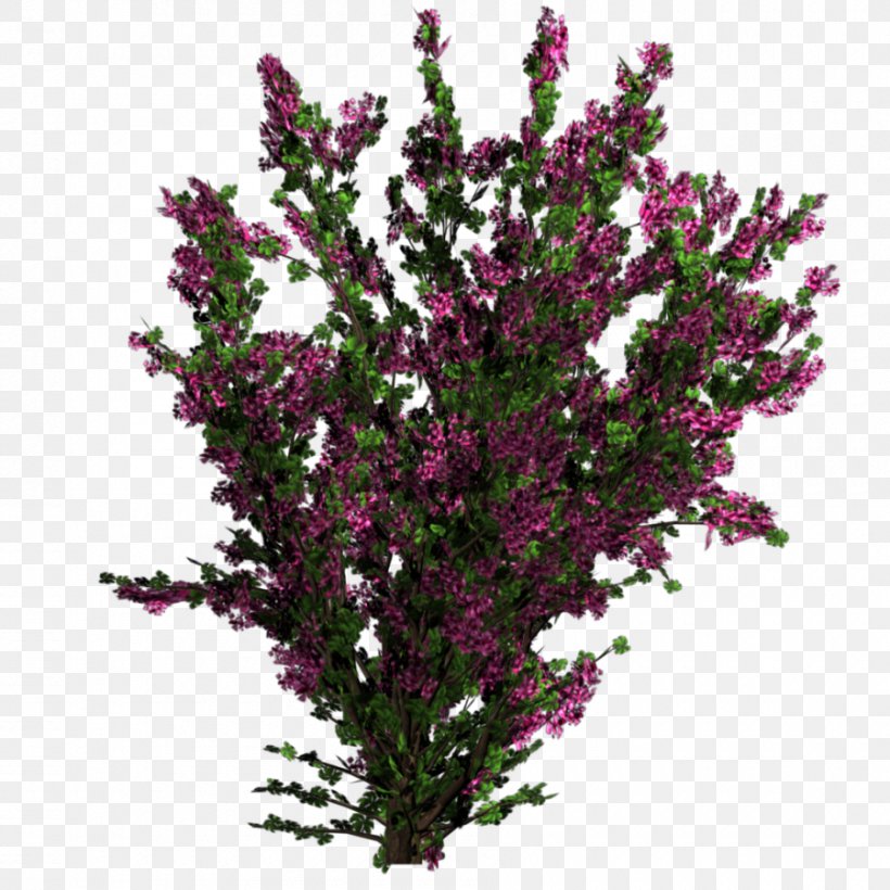 Flower Tree Shrub Plant Texture Mapping, PNG, 900x900px, Flower, Bougainvillea, Branch, Cut Flowers, Flowering Plant Download Free