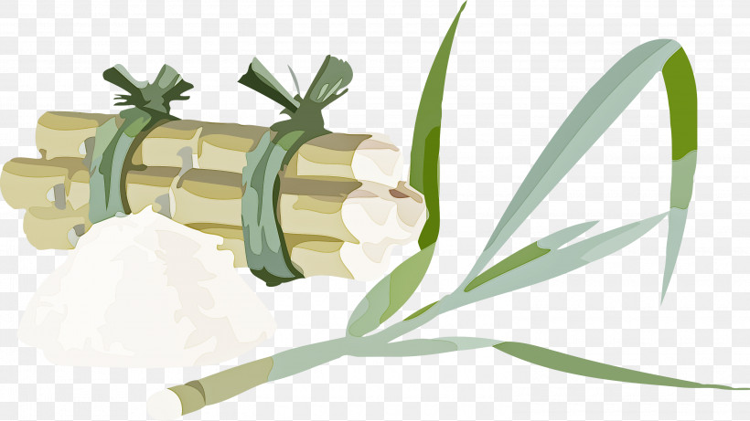 Pongal, PNG, 3000x1687px, Pongal, Commodity, Cut Flowers, Flower, Flower Bouquet Download Free