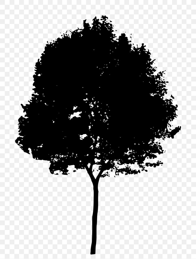 Silhouette Tree Clip Art, PNG, 768x1081px, Silhouette, Black And White, Branch, Digital Image, Leaf Download Free