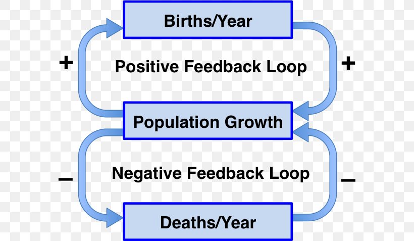 Negative Feedback Positive Feedback Homeostasis Biology PNG 682x477px 