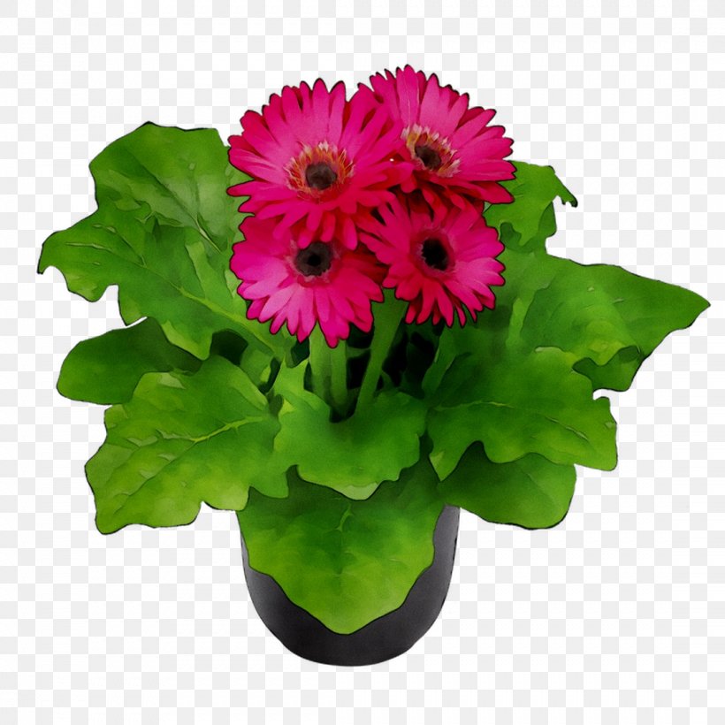 Transvaal Daisy Floral Design Cut Flowers Flower Bouquet, PNG, 1107x1107px, Transvaal Daisy, African Daisy, Annual Plant, Artificial Flower, Barberton Daisy Download Free
