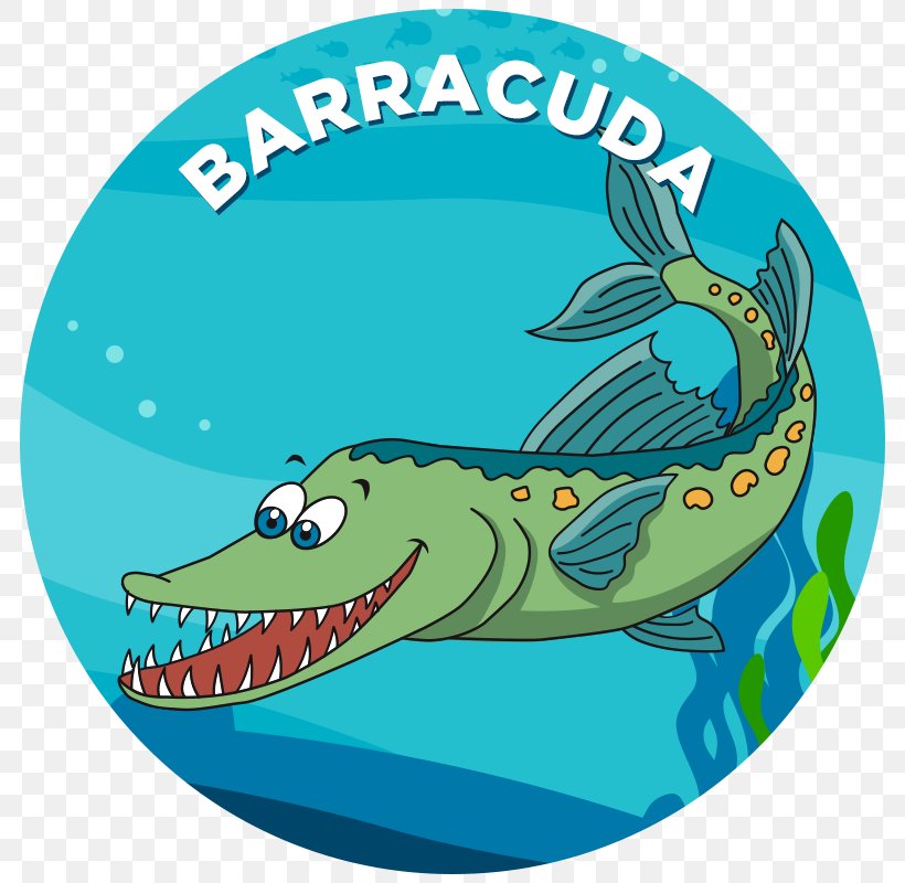 Clip Art Illustration Cartoon Drawing Shark, PNG, 800x800px, Cartoon, Aqua, Art, Barracuda, Cartilaginous Fish Download Free