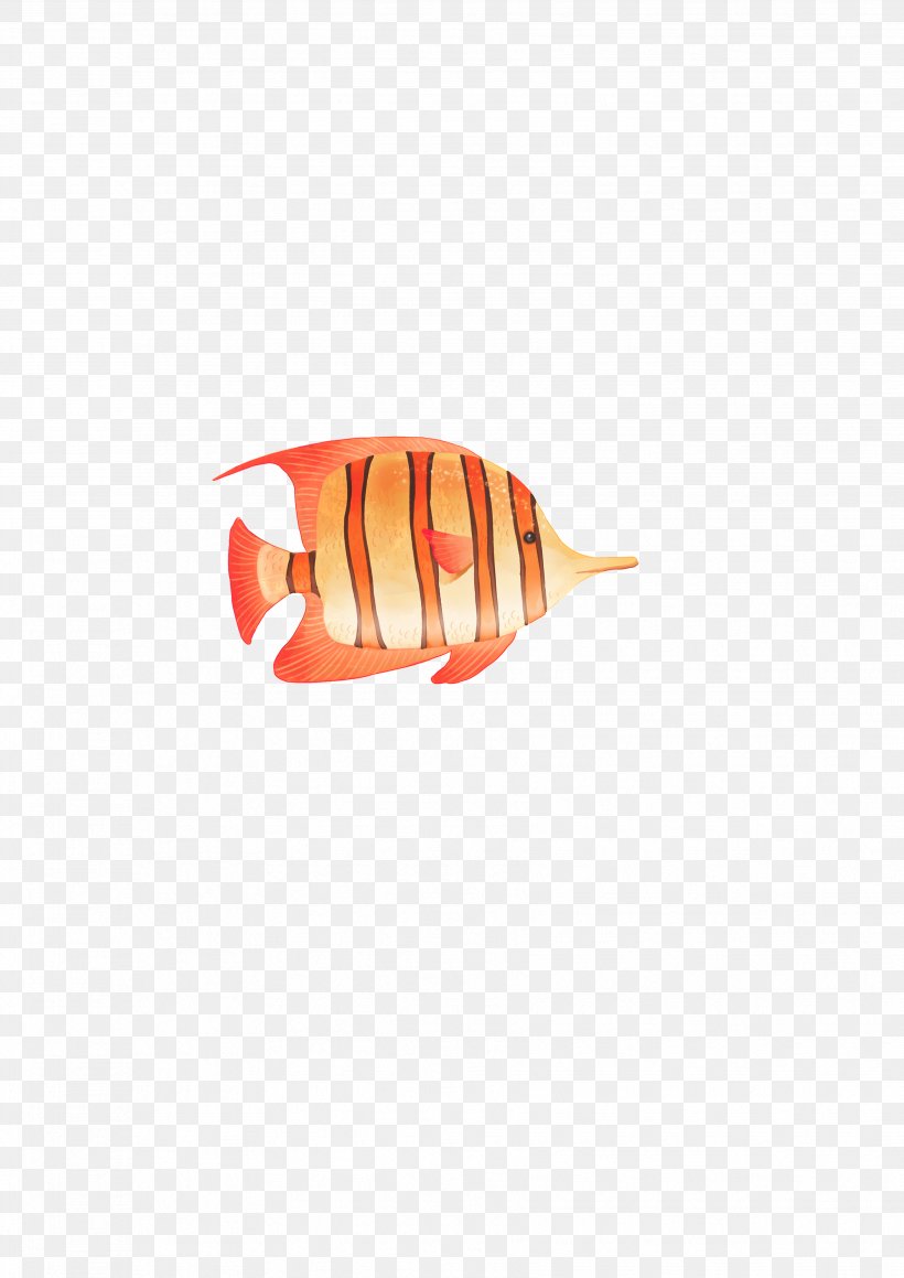 Fish, PNG, 3508x4961px, Fish, Orange Download Free