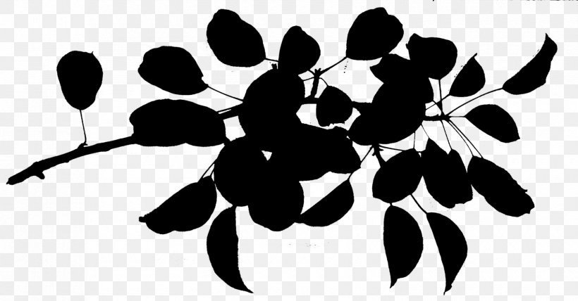Flowering Plant Fruit Pattern Font, PNG, 1680x878px, Flower, Blackandwhite, Botany, Branch, Branching Download Free