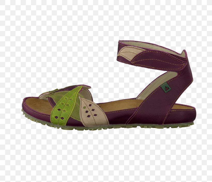 Slipper Sandal Purple Shoe Beige, PNG, 705x705px, Slipper, Ballet Flat, Beige, Clothing, Court Shoe Download Free