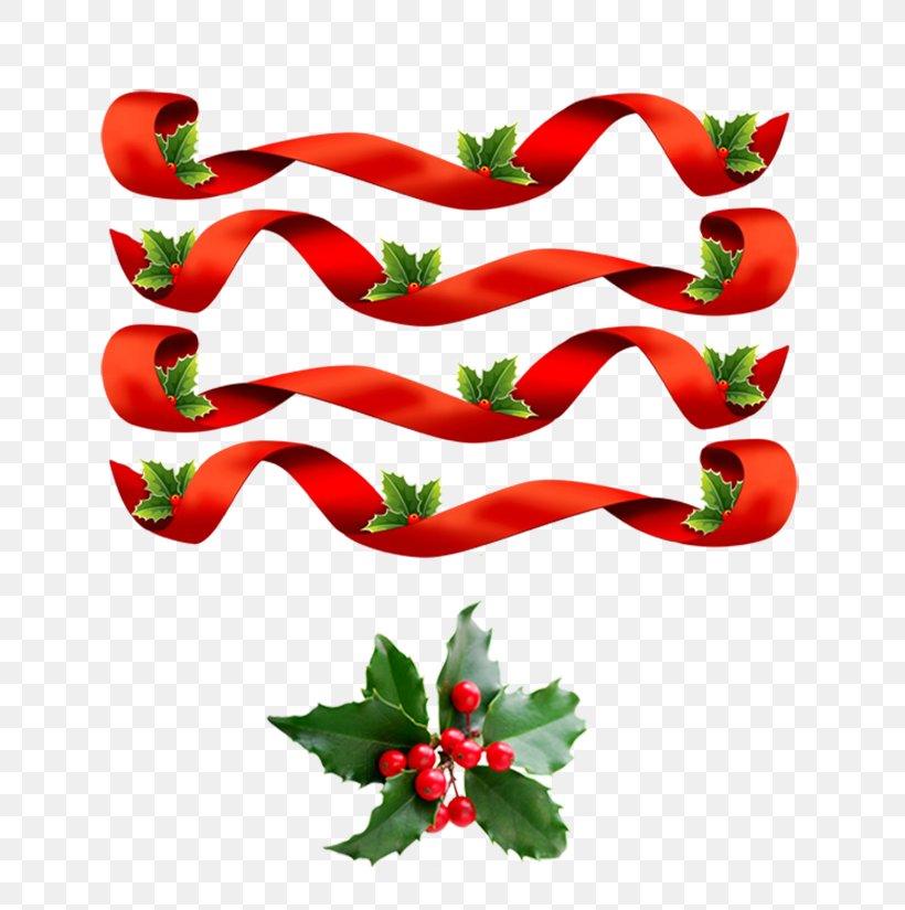Tabasco Pepper Ribbon Christmas Carol Cockade, PNG, 700x825px, Tabasco Pepper, Bell Peppers And Chili Peppers, Cayenne Pepper, Chili Pepper, Christmas Download Free