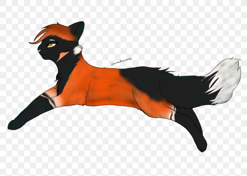 Whiskers Dog Red Fox Cat Fox News, PNG, 1057x755px, Whiskers, Carnivoran, Cat, Cat Like Mammal, Dog Download Free