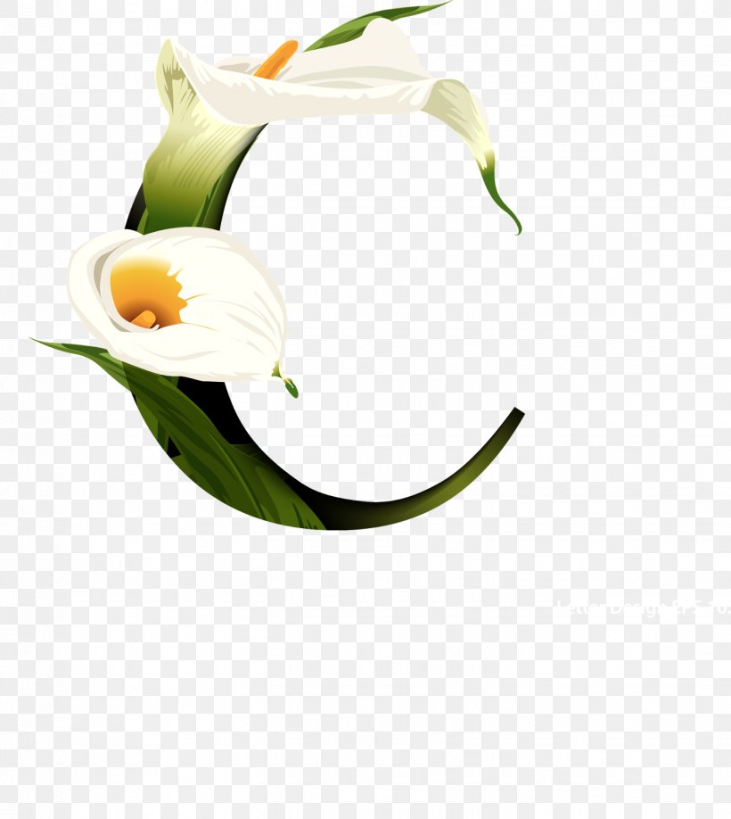 Alphabet Letter, PNG, 1428x1600px, Alphabet, Art, Arum, Cut Flowers, Flora Download Free