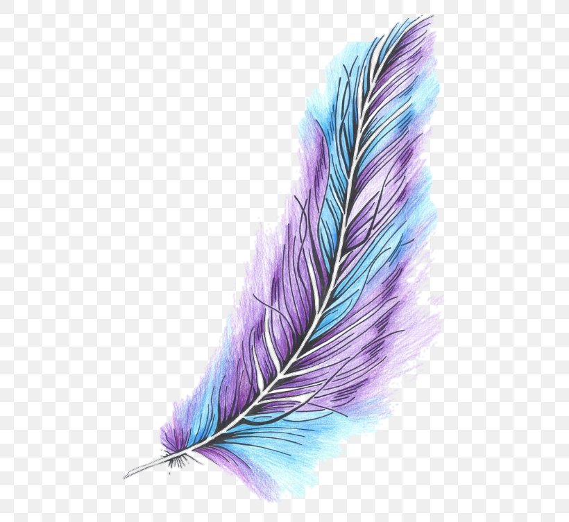 Feather Bird Color Quill Owl, PNG, 540x753px, Feather, Bird, Blue, Color, Drawing Download Free