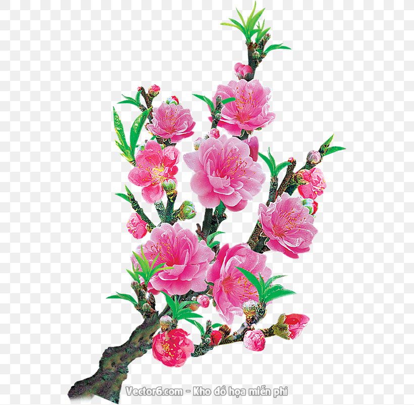 Floral Design Cut Flowers Psd, PNG, 555x801px, Floral Design, Artificial Flower, Blossom, Branch, Cut Flowers Download Free
