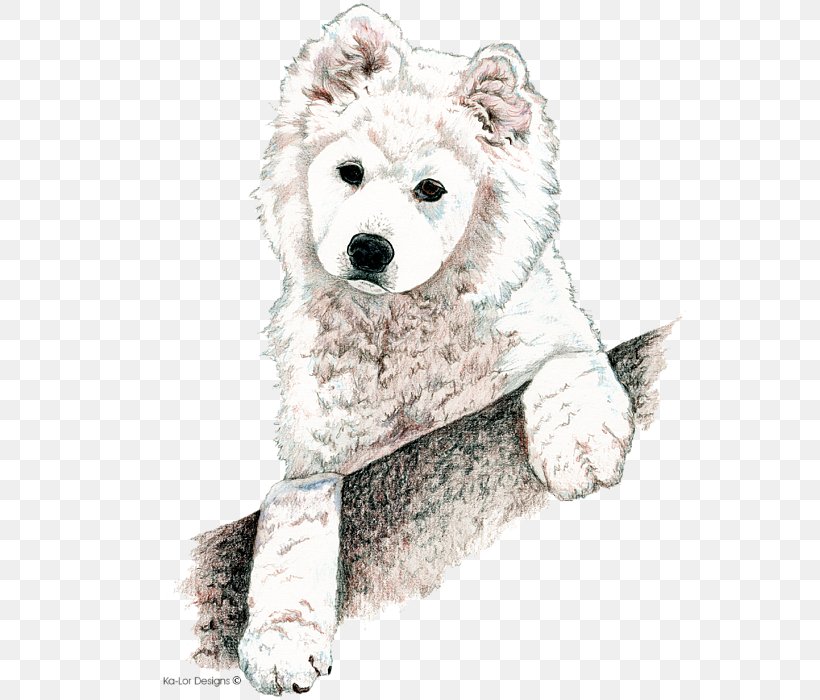 Samoyed Dog Dog Breed Puppy Basenji Non-sporting Group, PNG, 553x700px, Watercolor, Cartoon, Flower, Frame, Heart Download Free