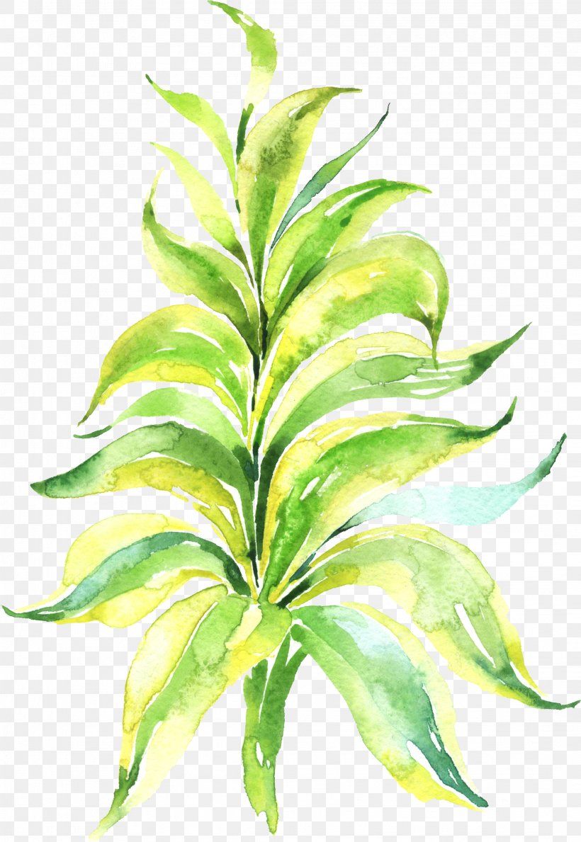 Watercolor Painting Leaf, PNG, 2121x3078px, Watercolor Painting, Aquarium Decor, Art, Decorative Arts, Drawing Download Free