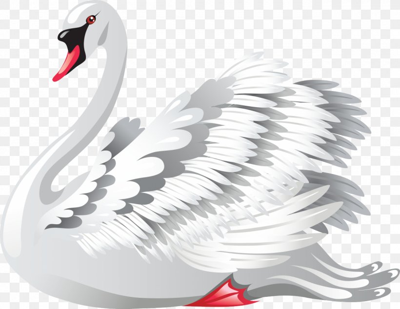 Black Swan Royalty-free Clip Art, PNG, 1280x991px, Black Swan, Beak, Bird, Cygnini, Ducks Geese And Swans Download Free