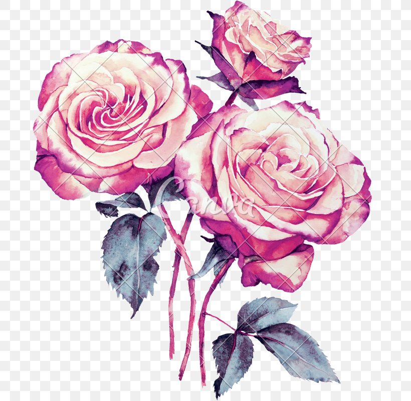 Bouquet Of Flowers Drawing, PNG, 689x800px, Watercolor Painting, Bouquet, Camellia, China Rose, Cut Flowers Download Free