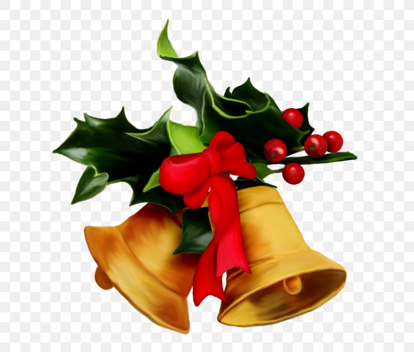 Christmas Tree Mistletoe Christmas Decoration Gift, PNG, 675x699px, Christmas, Aquifoliaceae, Aquifoliales, Bell, Christmas Decoration Download Free