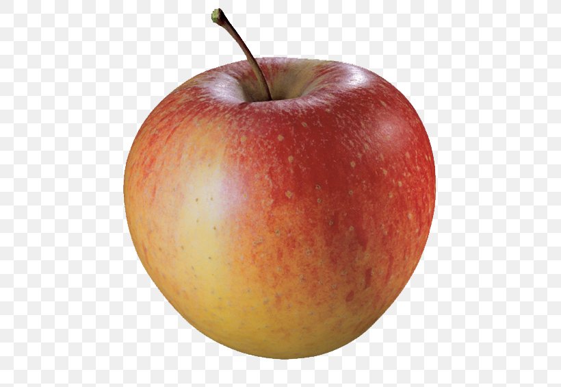 McIntosh Apple Pie Pinova Ontbijtkoek, PNG, 500x565px, Mcintosh, Apple, Apple Pie, Apples, Baking Download Free