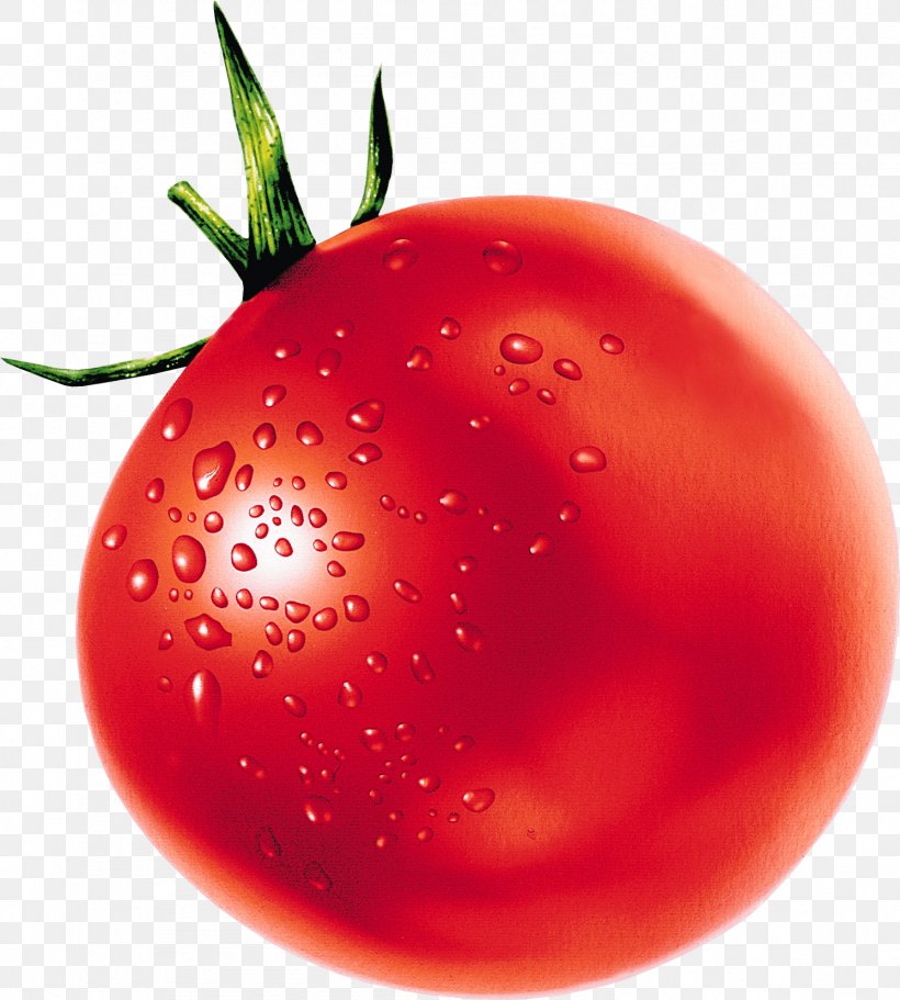 Tomato Vegetable Pomodoro Technique Clip Art, PNG, 1492x1659px, Tomato, Baking, Berry, Bush Tomato, Carrot Download Free