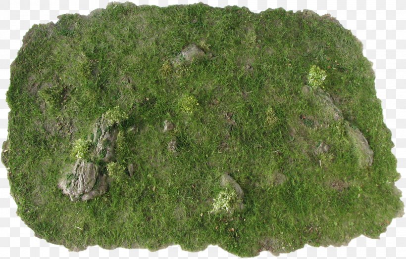 Wargaming Miniature Figure Mat Rock, PNG, 1920x1229px, Wargaming, Caulking, Floor, Grass, Leaf Download Free