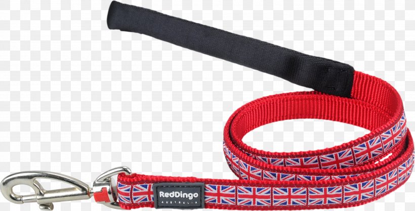 Dingo Leash Chihuahua Puppy Pet, PNG, 3000x1528px, Dingo, Chihuahua, Collar, Dog, Dog Collar Download Free