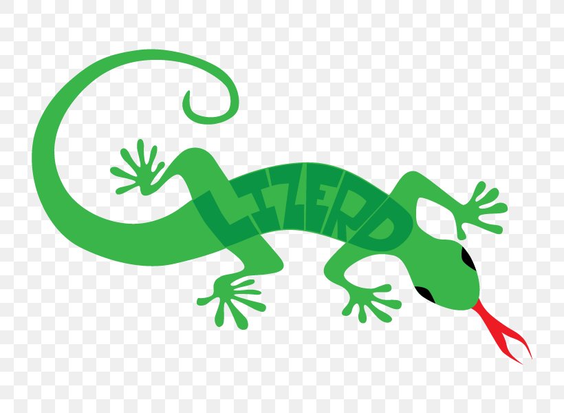 Gecko Lizard Clip Art, PNG, 800x600px, Gecko, Amphibian, Animal Figure, Dribbble, Fauna Download Free