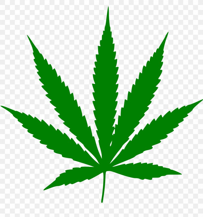 Cannabis Smoking Leaf Plant Stem Tree, PNG, 2000x2133px, 420 Day, United States, Cannabis, Cannabis Sativa, Cannabis Smoking Download Free