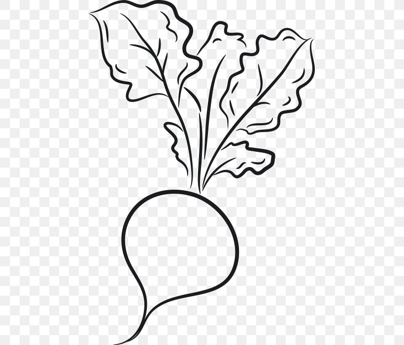 Design Drawing Image Vegetable, PNG, 459x700px, Drawing, Art, Artwork, Black And White, Branch Download Free