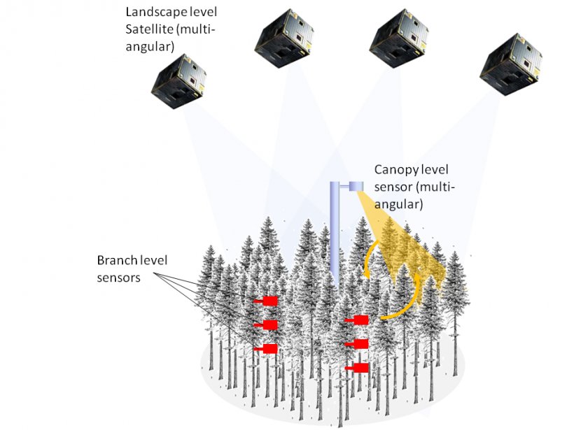 Remote Sensing Sensor Photosynthesis Atmosphere Carbon Dioxide, PNG, 960x720px, Remote Sensing, Atmosphere, Atmosphere Of Earth, Biochemistry, Brand Download Free