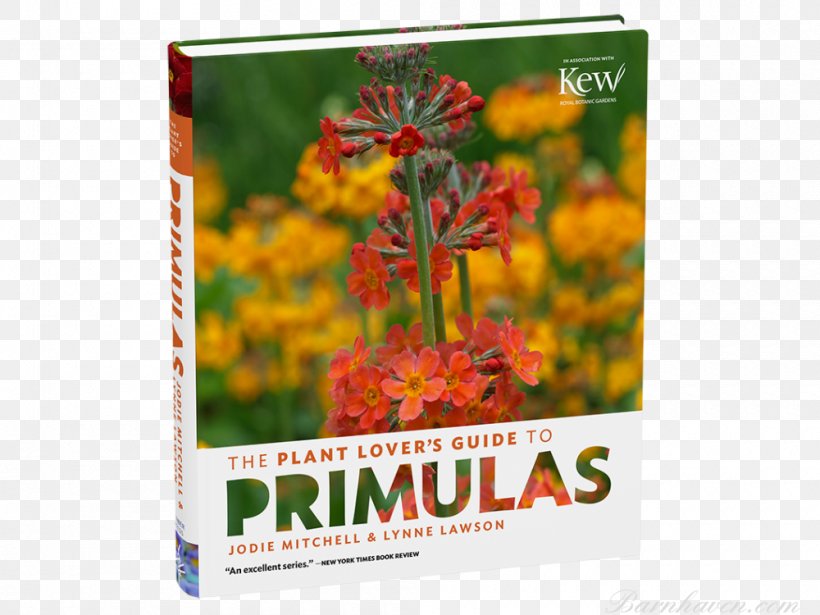 The Plant Lover's Guide To Primulas Primrose The Plant Lover's Guide To Sedums Classic Garden Plants, PNG, 1000x750px, Primrose, Advertising, Book, Brand, Bulb Download Free