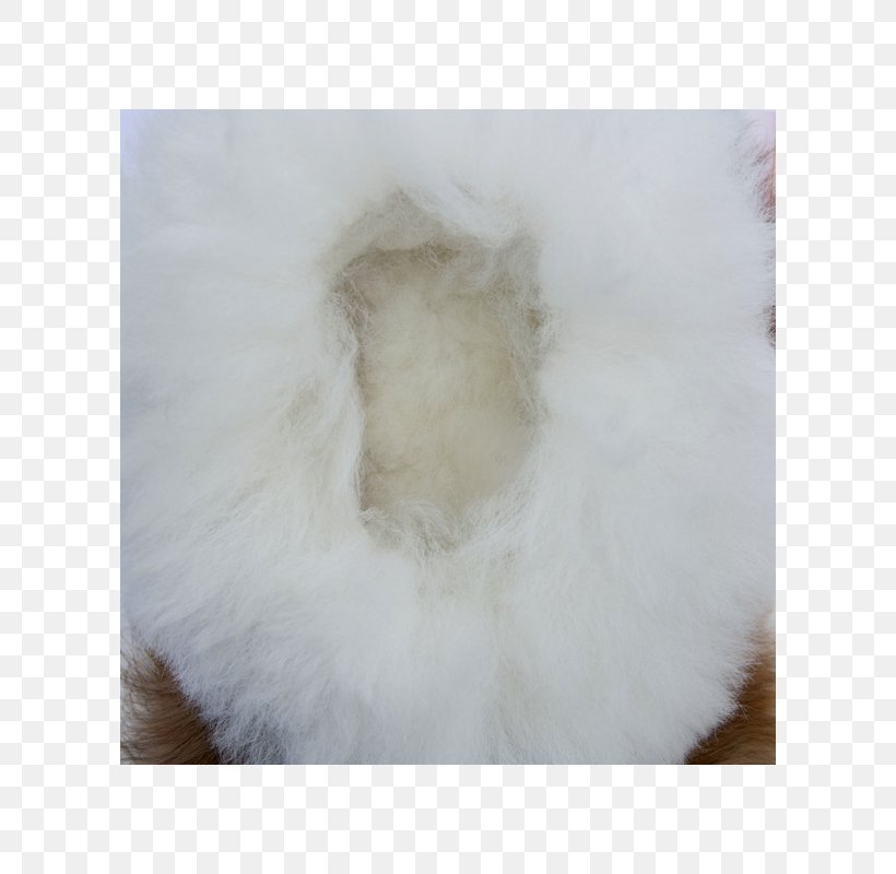 Alpaca Fiber Slipper Wool Sheep Shearing, PNG, 800x800px, Alpaca, Alpaca Fiber, Color, Fashion, Fiber Download Free