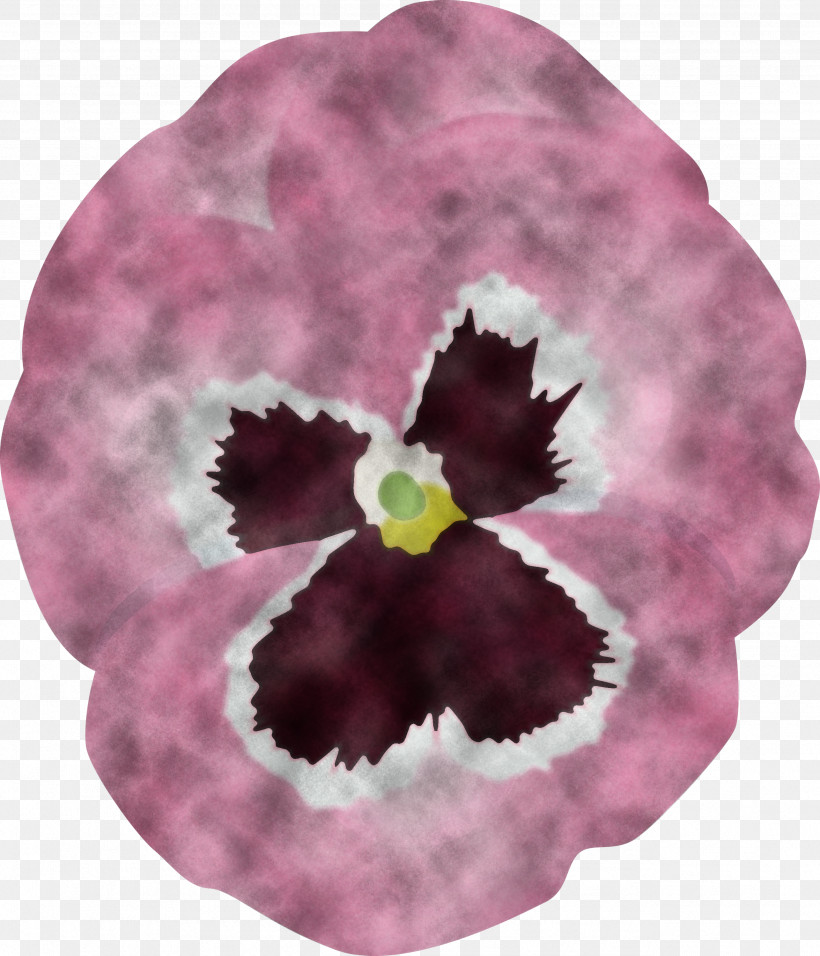 PANSY Spring Flower, PNG, 2571x3000px, Pansy, Cattleya, Flower, Iris, Magenta Download Free