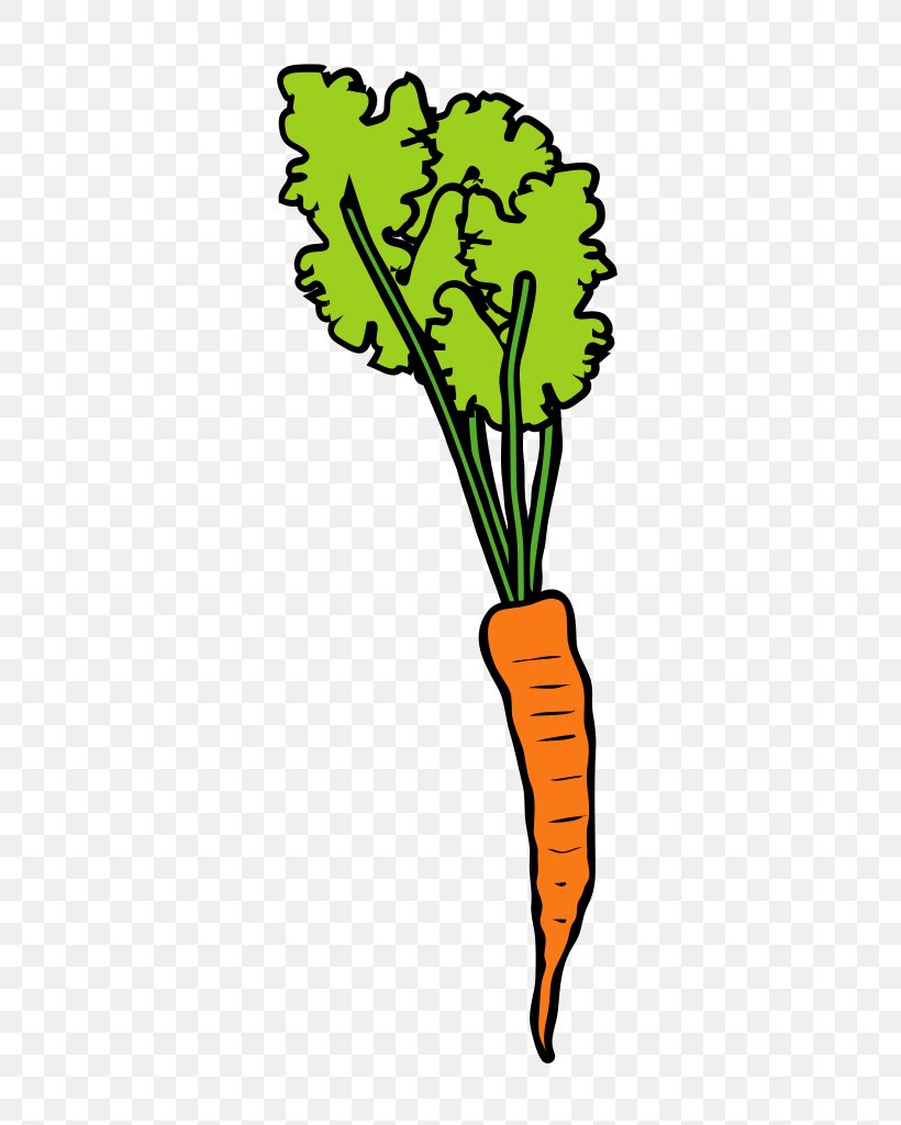 Clip Art Wikimedia Commons Wikimedia Foundation Computer File, PNG, 548x1024px, Wikimedia Commons, Artwork, Carrot, Flora, Grass Download Free