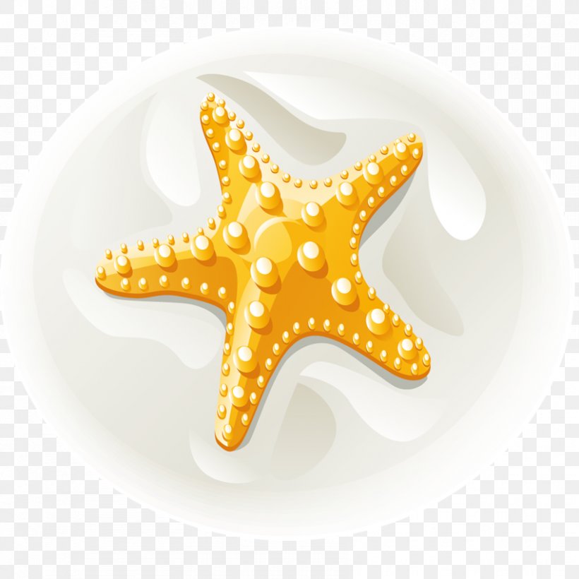 Starfish Euclidean Vector Clip Art, PNG, 850x850px, Starfish, Bay, Beach, Echinoderm, Hotel Download Free