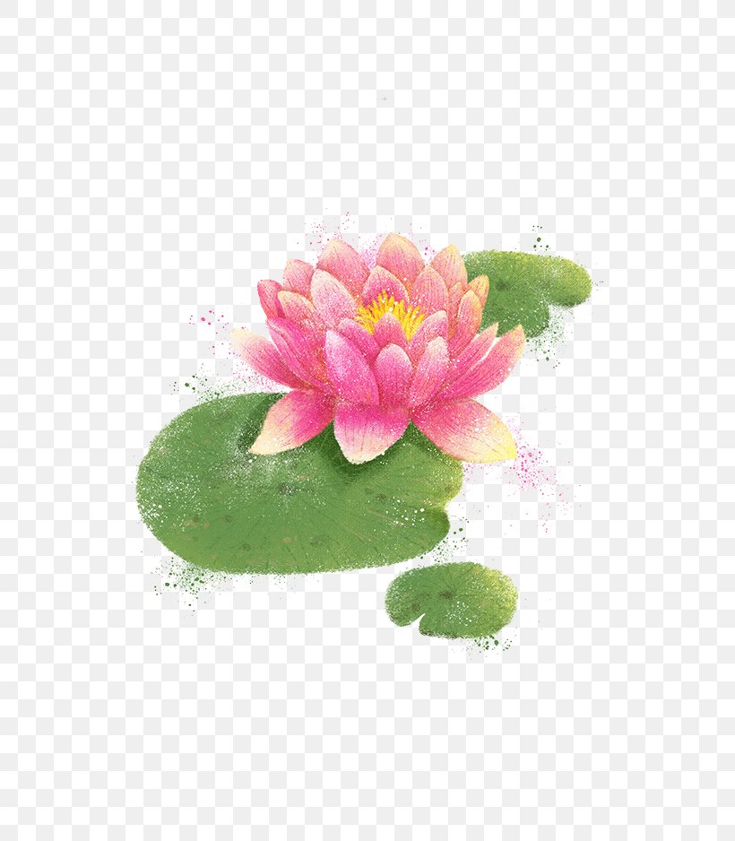Watercolor Painting Illustration, PNG, 650x938px, Watercolor Painting, Aquatic Plant, Cartoon, Flower, Flowering Plant Download Free