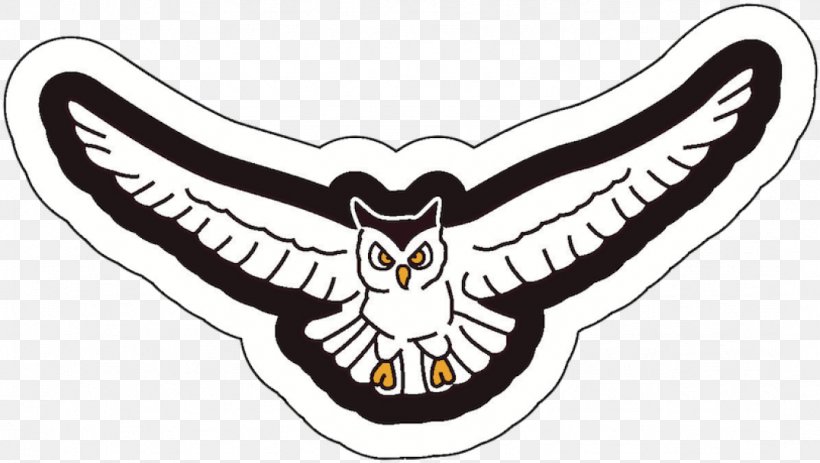 Eagle Bird, PNG, 1074x607px, Highland High School, Bird, Bird Of Prey, Crest, Eagle Download Free