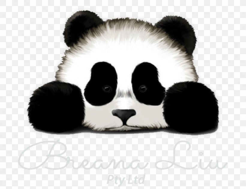 Giant Panda Bear Drawing Cuteness, PNG, 1400x1075px, Giant Panda, Art, Bear, Carnivoran, Cartoon Download Free