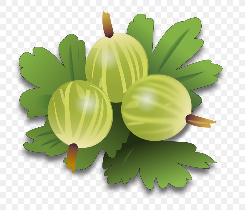 Gooseberry Clip Art, PNG, 800x701px, Gooseberry, Berry, Currant, Dessert, Food Download Free