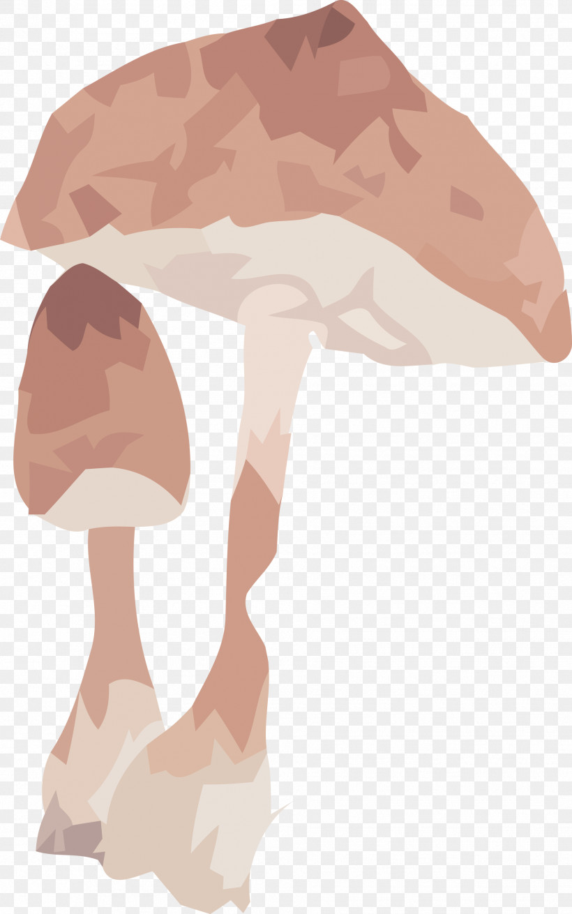 Mushroom, PNG, 1877x3000px, Mushroom, Biology, Human Biology, Human Skeleton, Muscle Download Free