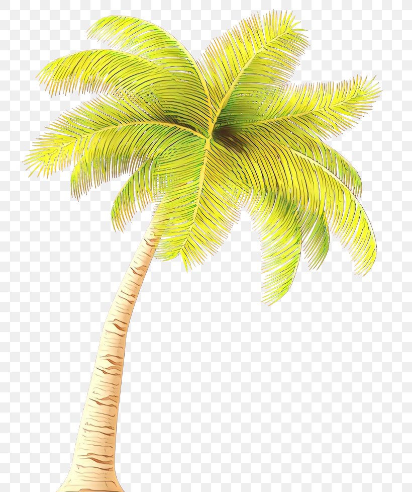Palm Tree, PNG, 749x978px, Cartoon, Arecales, Coconut, Elaeis, Leaf Download Free