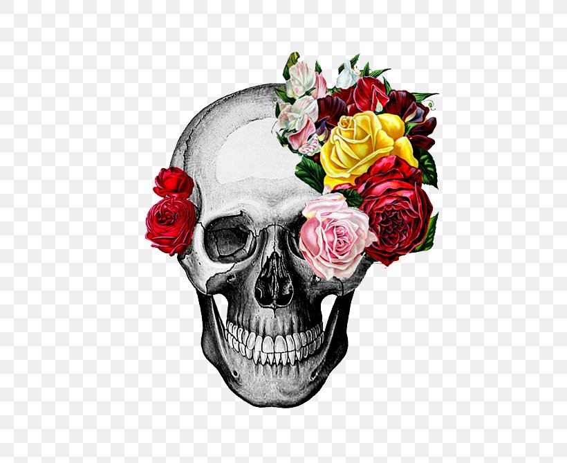 Rose Drawing Skull Art, PNG, 494x669px, Rose, Art, Bone, Cut Flowers, Drawing Download Free